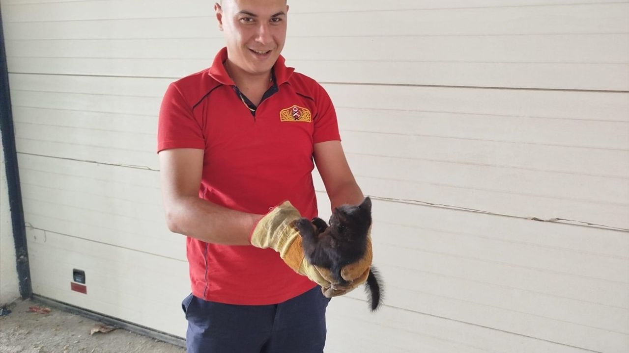 İtfaiyeden Kedi Yavrularına Kurtarma Operasyonu
