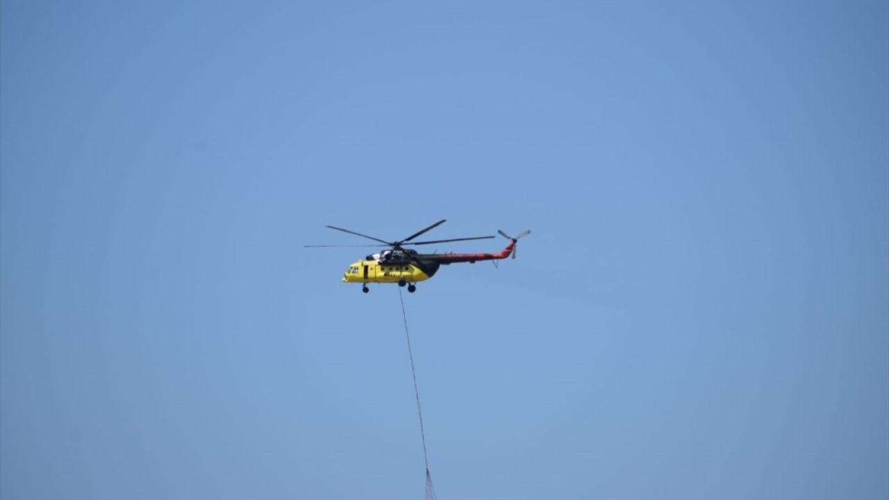 İzmir Bornova'da Tarım Arazisinde Yangın