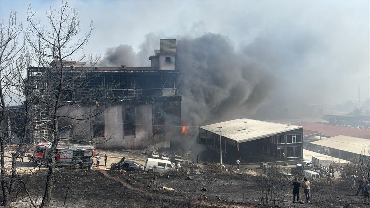 İzmir'de Çöplükte Başlayan Yangın Ormana Sıçradı, Müdahale Devam Ediyor