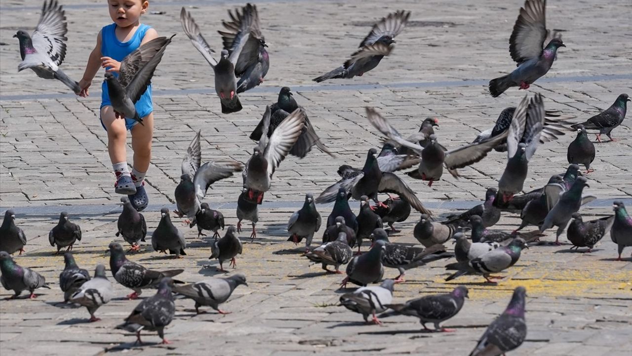 İzmir'de Kurban Bayramı'nda Sessizlik Hakim