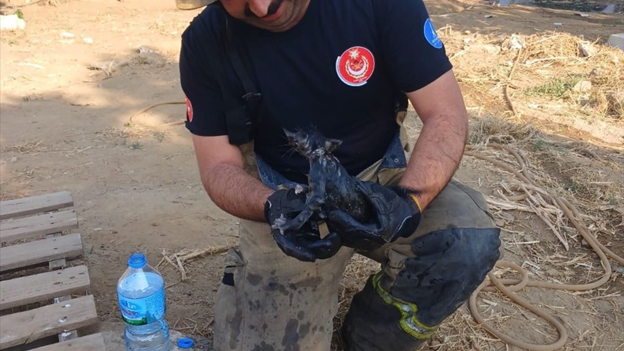 İzmir'de Müştemilat Yangını: 1 Yaşındaki Bebek Yaralandı
