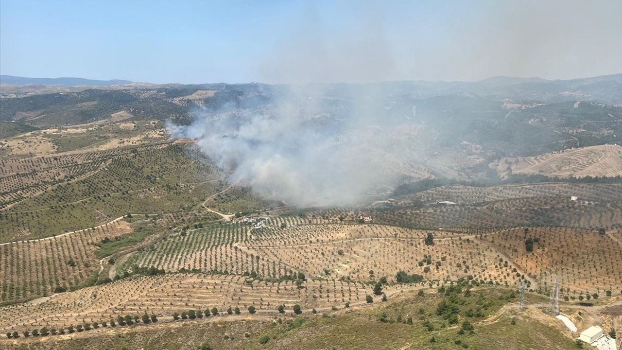 İzmir'de Otluk Alanda Yangın Çıkıyor