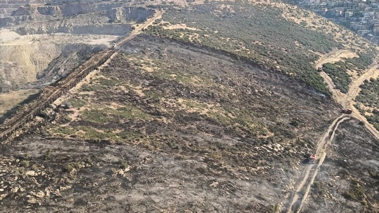 İzmir'deki Makilik Alan Yangını Kontrol Altına Alındı