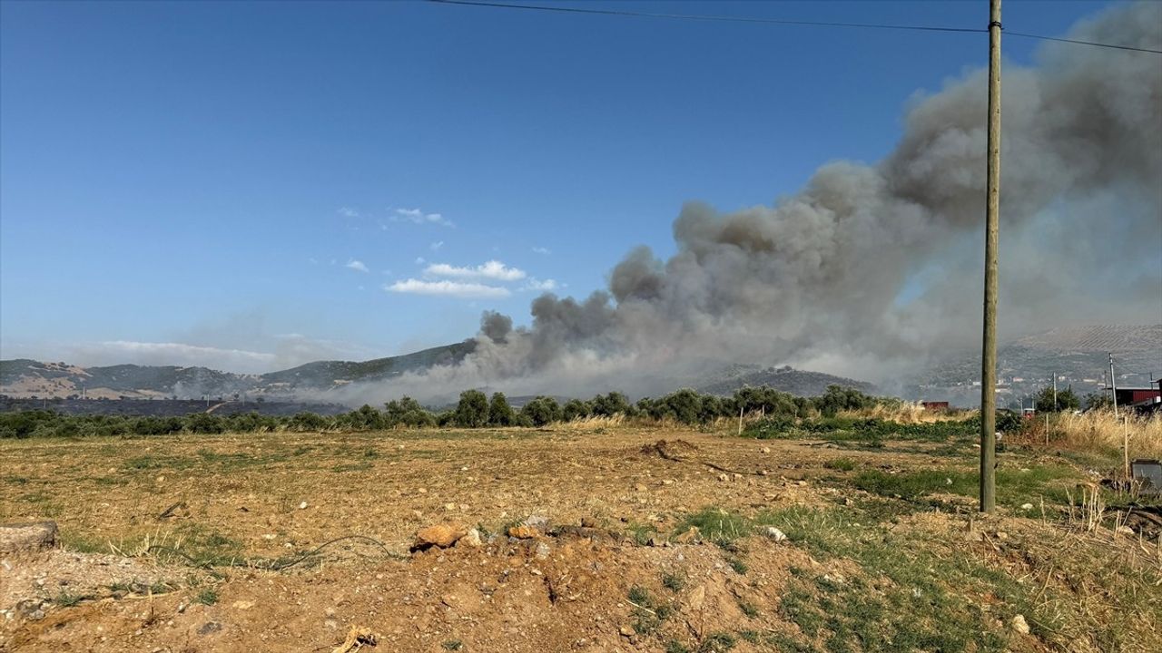 İzmir'deki Yangın Kontrol Altına Alındı