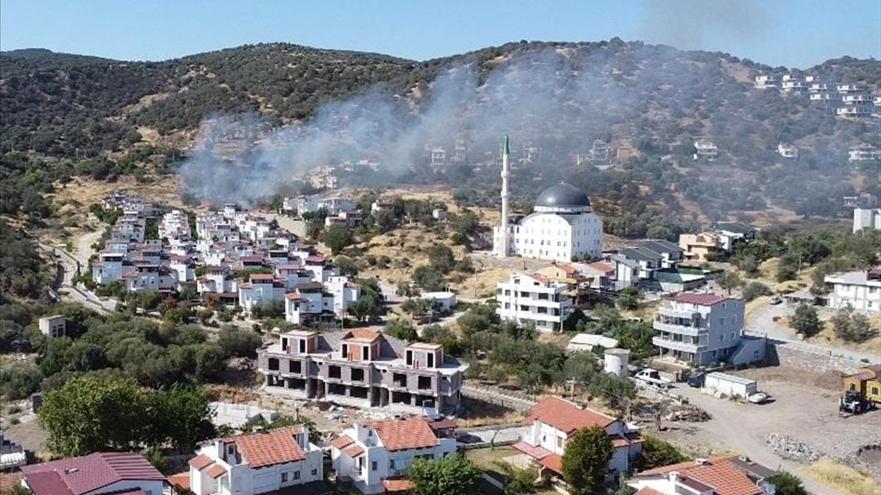 İzmir Dikili'de Yangınla Mücadele Devam Ediyor