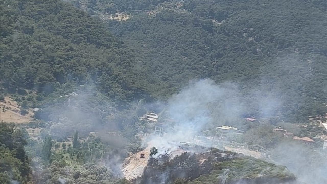 İzmir Kemalpaşa'da Orman Yangınına Hızlı Müdahale
