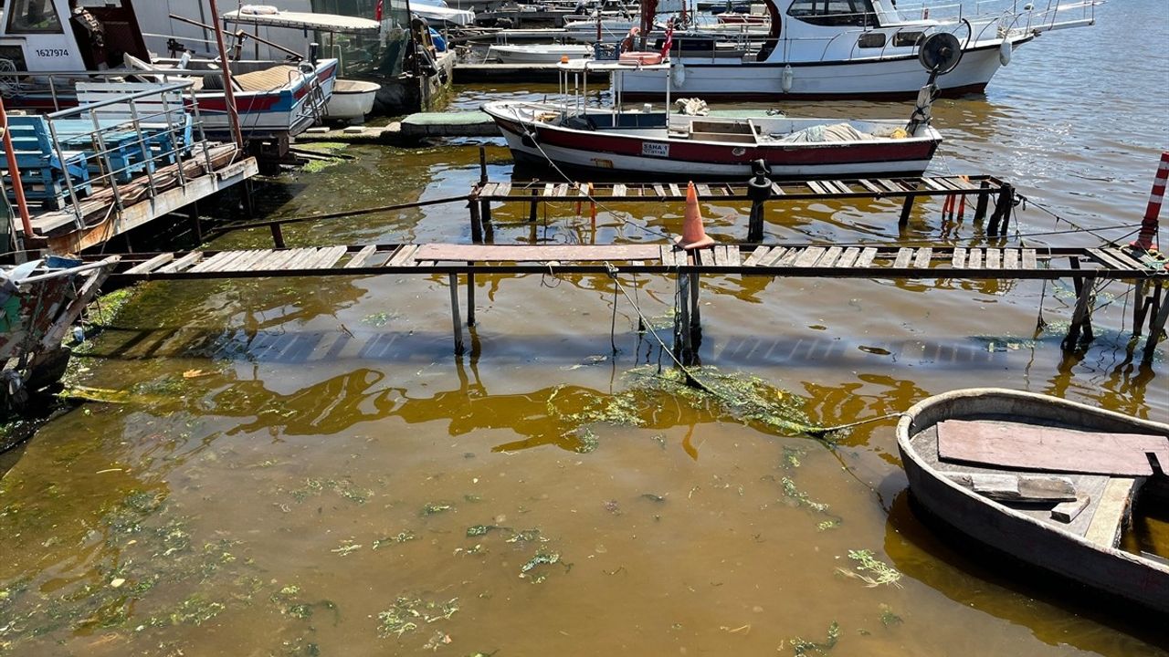 İzmit Körfezi'nde Deniz Yüzeyi Kahverengiye Döndü