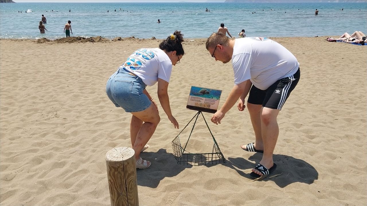 İztuzu Plajı'nda Caretta Caretta Yuvaları Rekoru