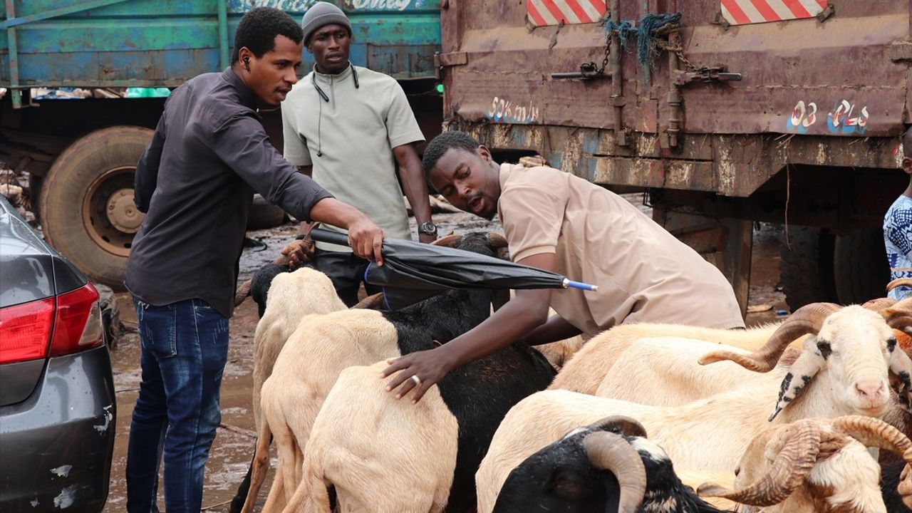 Kamerun'da Kurban Bayramı Hazırlıkları Zırhlı Satışlarla Devam Ediyor