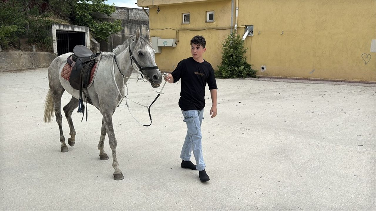 Karabük'te Öğrenciye Sınav Sonrası At Hediye Edildi