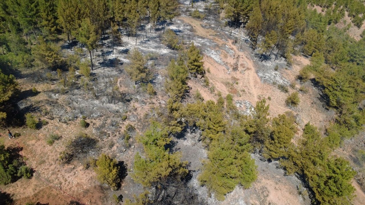 Karabük'te Orman Yangınına Hızlı Müdahale