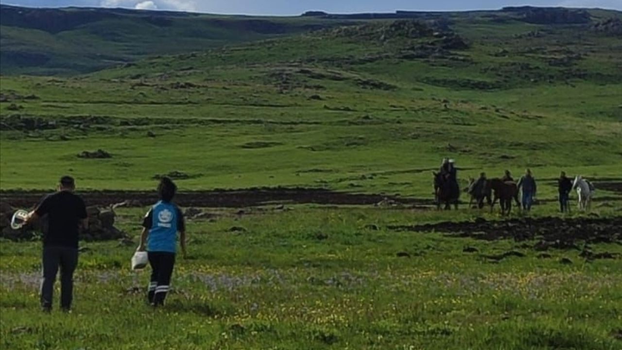 Kars'ta Kayalıklardan Düşen Çoban Yaralandı