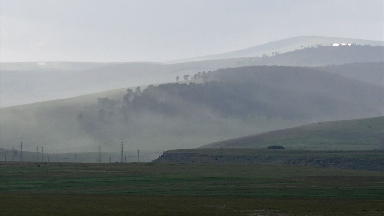 Kars'ta Polen Fırtınası Etkili Oldu