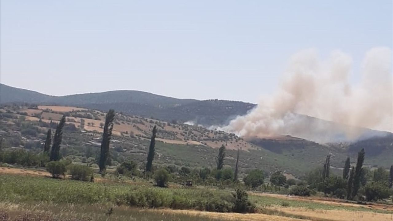Kepsut'ta Orman Yangınına Hızla Müdahale Ediliyor