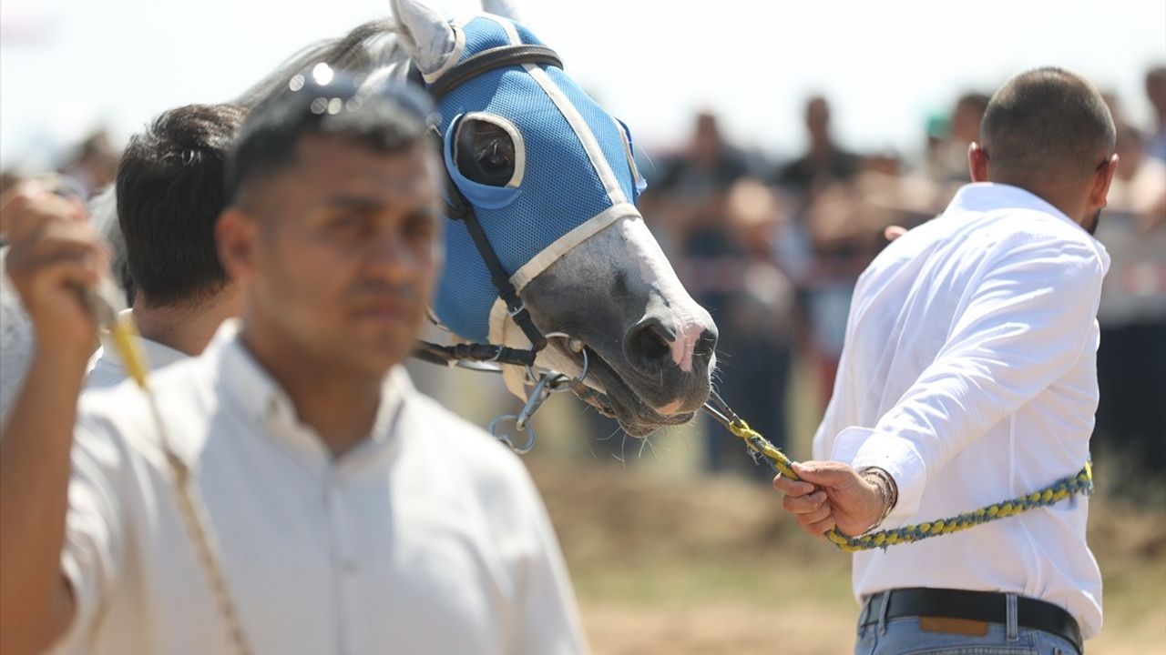 Kırklareli'nde Yağlı Güreş Etkinliği Kapsamında At Yarışları Düzenlendi