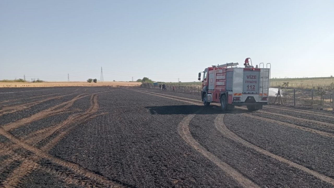 Kırklareli'nde Yangın Felaketi: Tarım Arazisi ve Ceviz Bahçesi Zarar Gördü