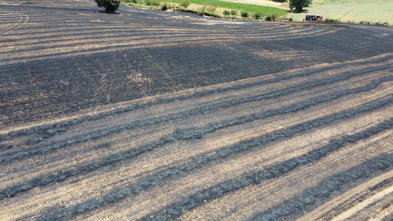 Kocaeli'de Tarım Arazisinde Yangın: 150 Dönüm Zarar Gördü