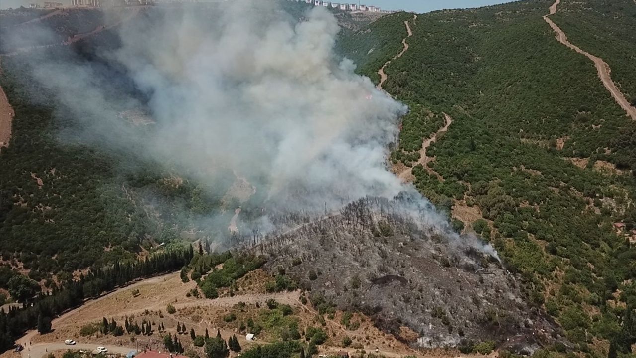 Kocaeli'deki Yangın Kontrol Altına Alındı