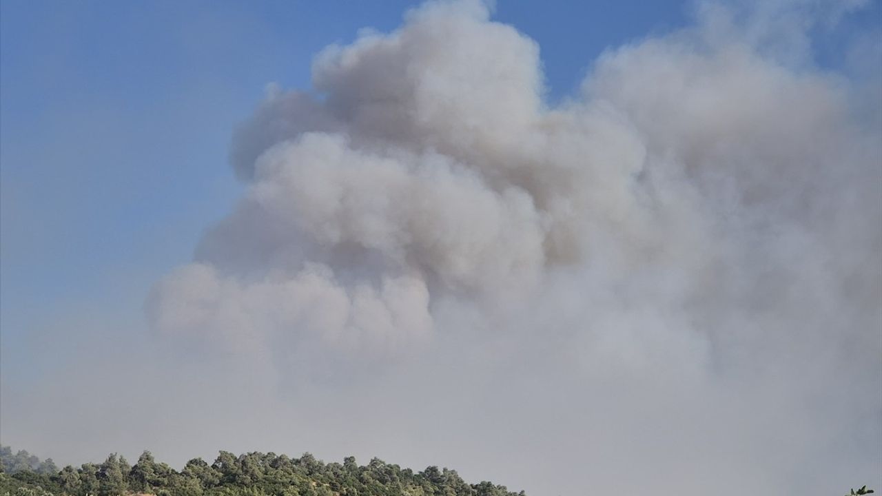 Manisa Ahmetli'de Orman Yangınına Müdahele