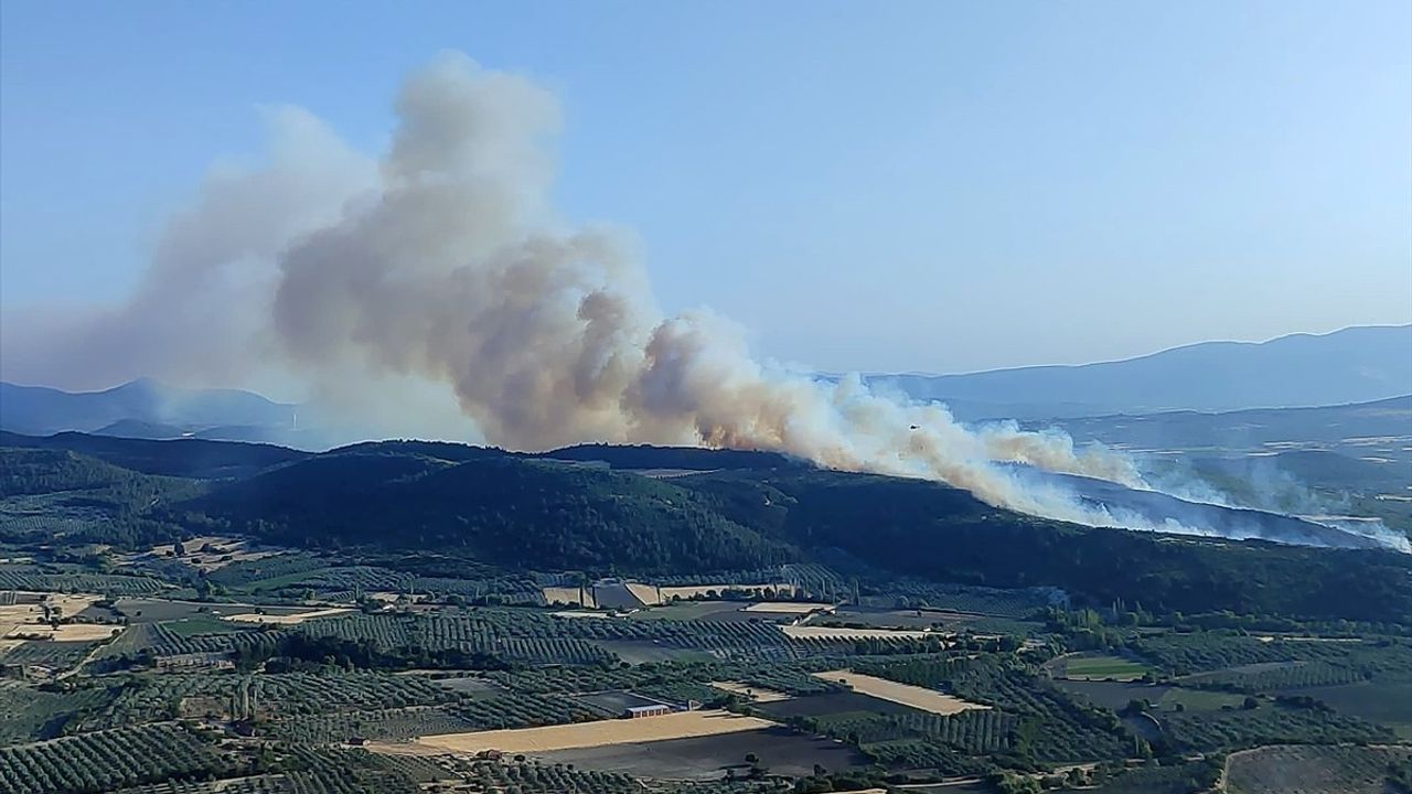 Manisa'da Orman Yangını Kontrol Altına Alındı