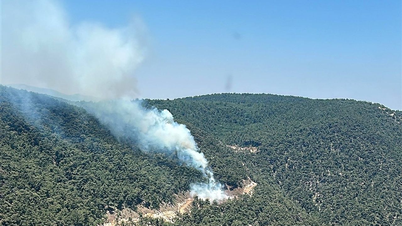 Manisa'da Orman Yangınına Hızla Müdahale Ediliyor
