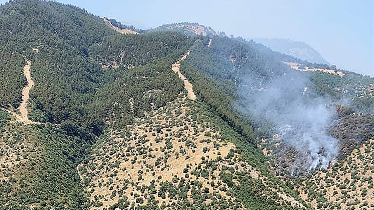 Manisa'nın Alaşehir İlçesinde Orman Yangını Kontrol Altına Alınıyor