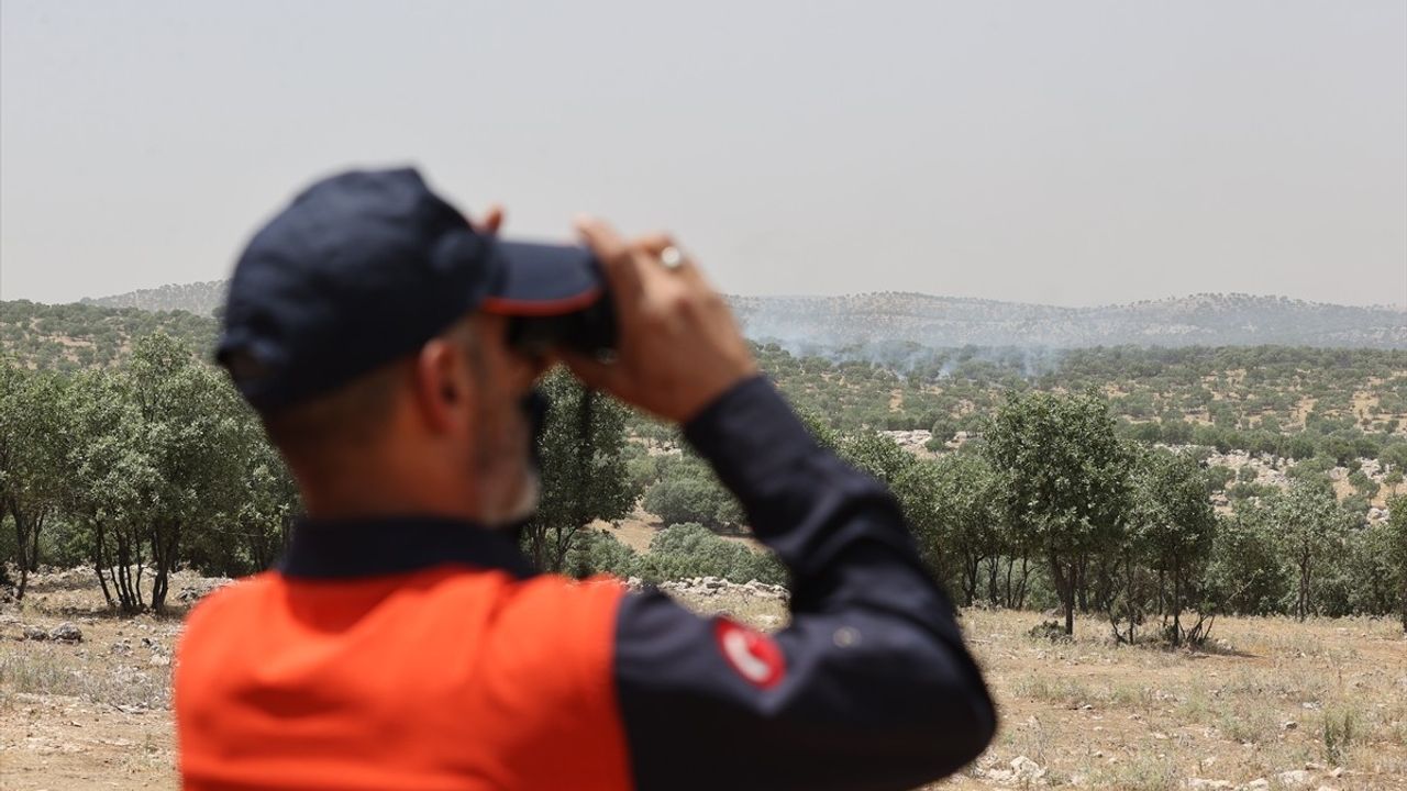 Mardin'de Orman Yangınına Müdahale