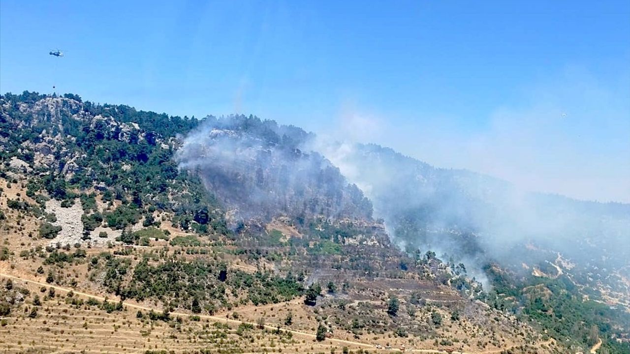 Mersin'de Orman Yangını: Havadan ve Karadan Mücadele