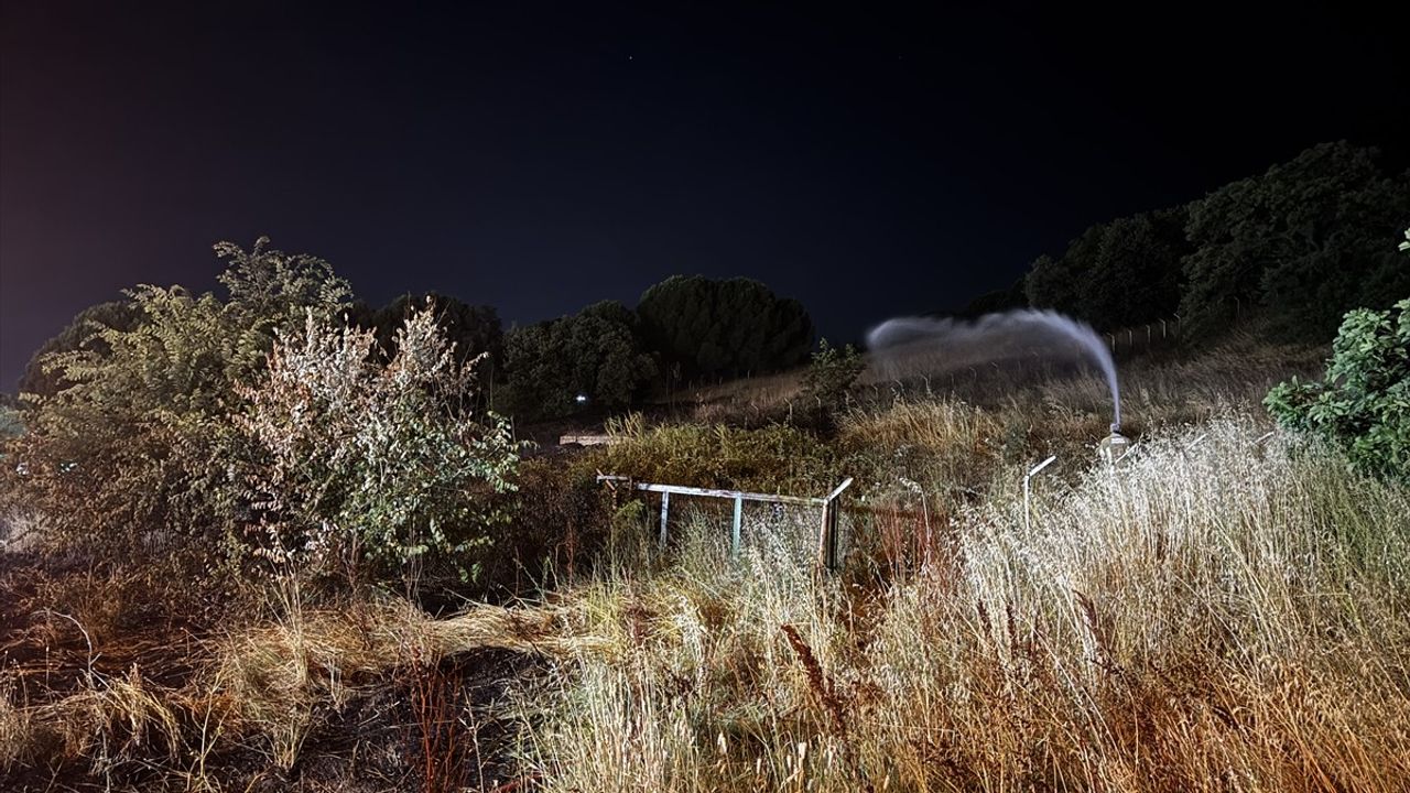 Mudanya'da Havai Fişek Yangını