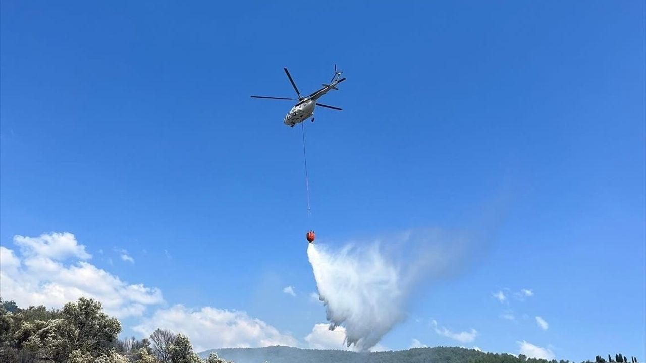 Muğla'daki Zeytinlik Yangını Kontrol Altına Alındı