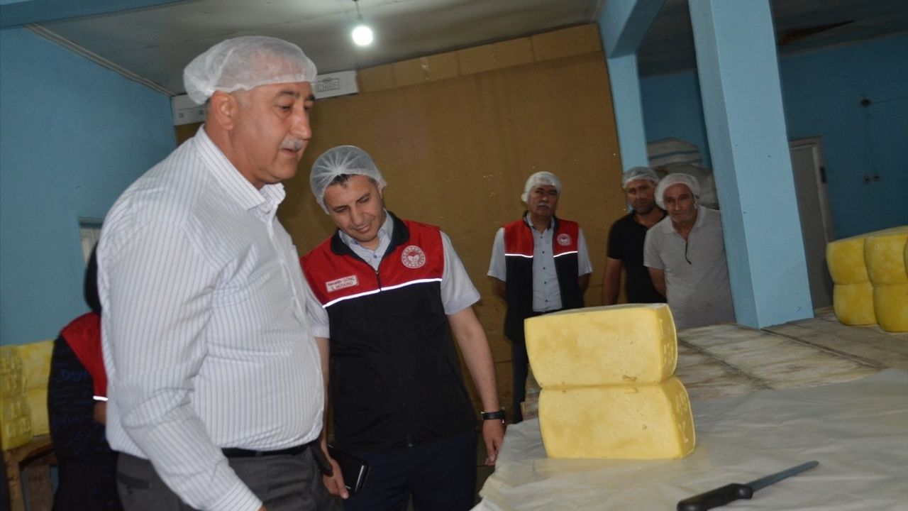 Muş'un Eski Kaşar Peyniri Türkiye'yi Sarıyor