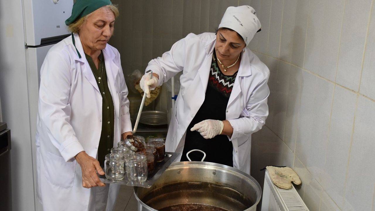 Ordu'da Kadın Kooperatiflerinin Gücü: Çamaş Hanımeli