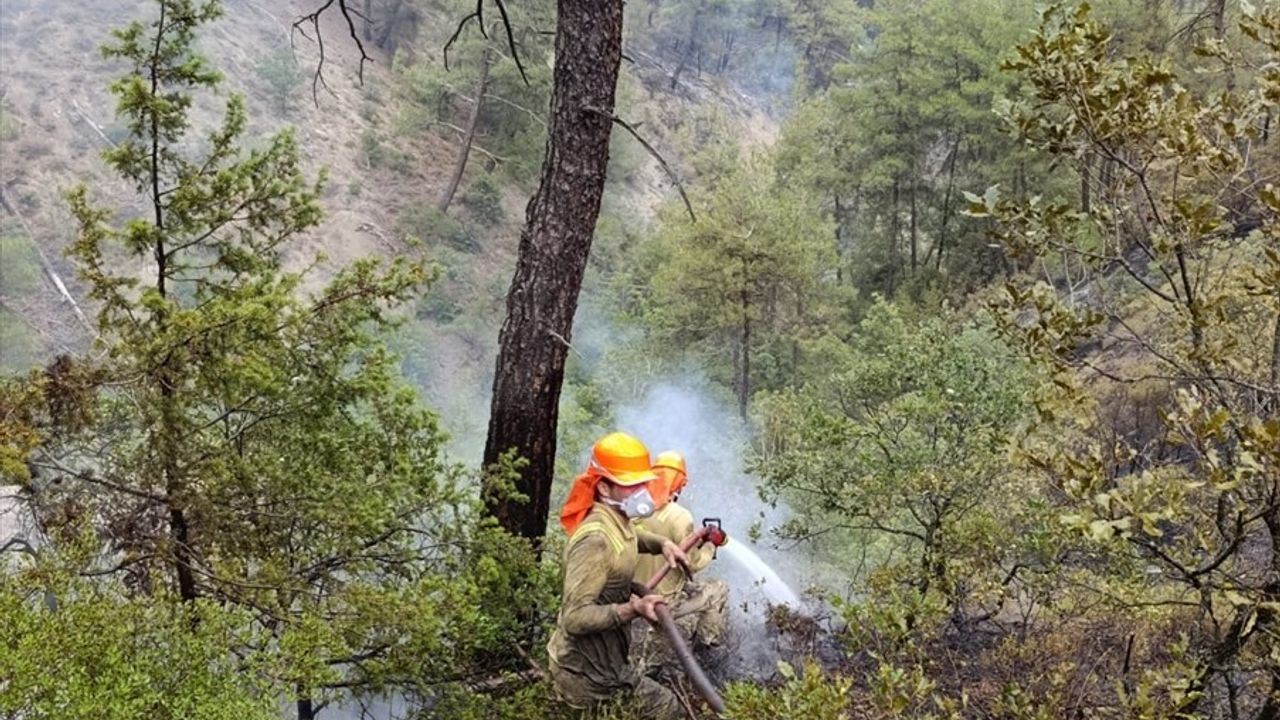 Orman Yangını Kadına Eşit Eşitliği Destekliyor