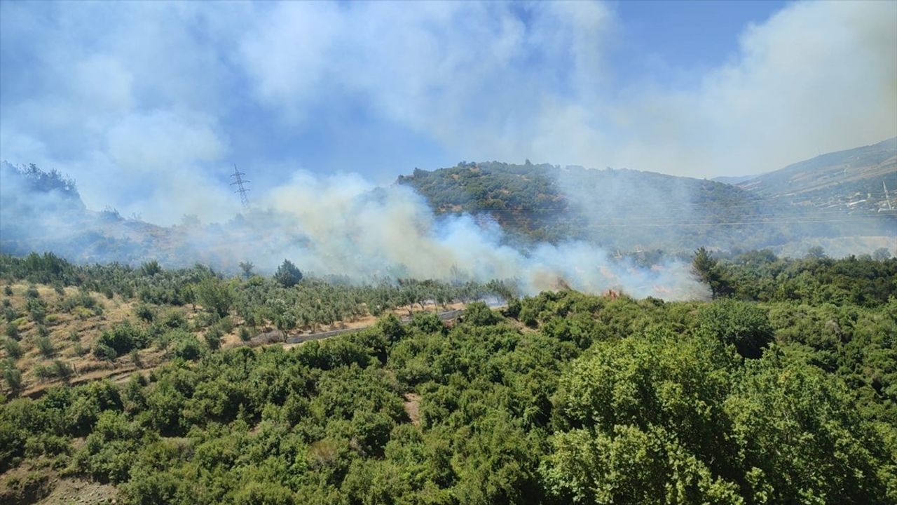 Osmaniye Düziçi'nde Orman Yangını Kontrol Altına Alındı