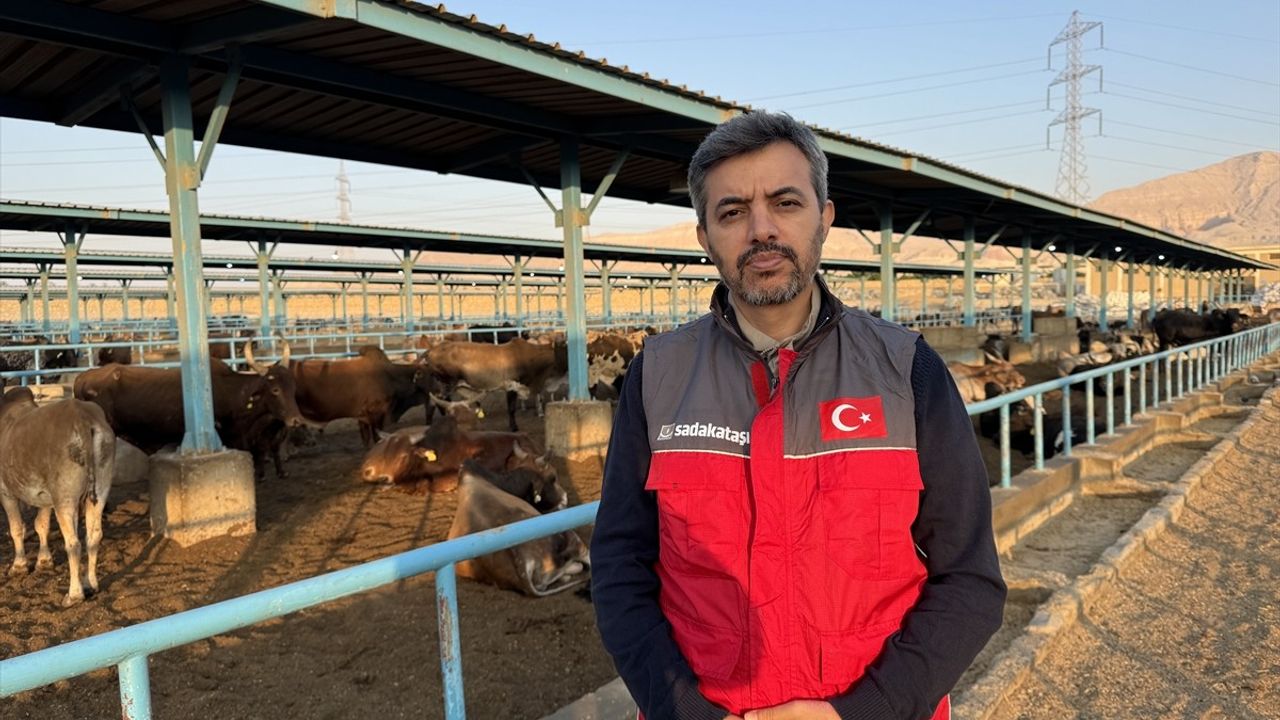Sadakataşı Derneği Mısır'da Gazze İçin Kurban Kesimini Tamamladı