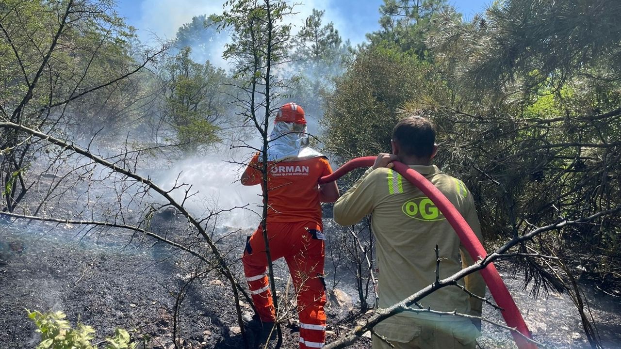Sakarya'da Orman İşletme Deposunda Yangın Kontrol Altına Alındı
