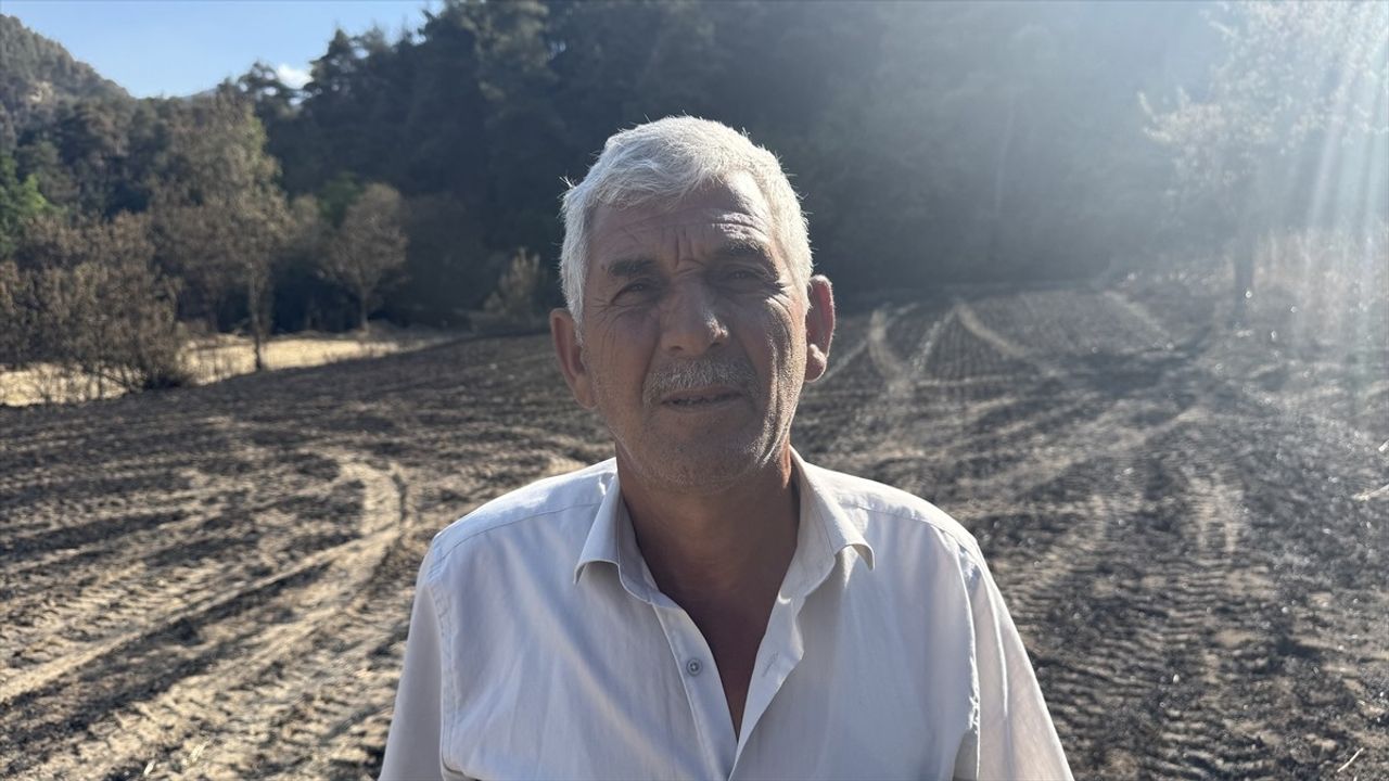 Sakarya'da Orman Yangını: Çiftçi Mustafa Bulut'un Zararları