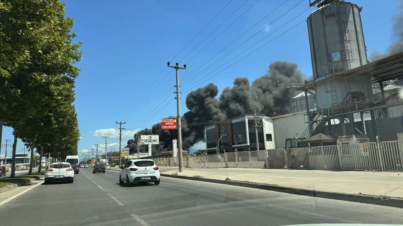 Sakarya'da Yedek Parça Deposunda Yangın Çıktı