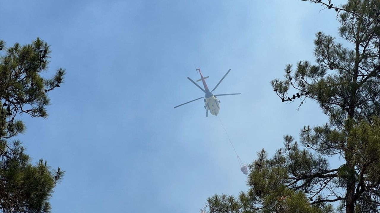 Sakarya'daki Orman Yangınına Hızla Müdahale