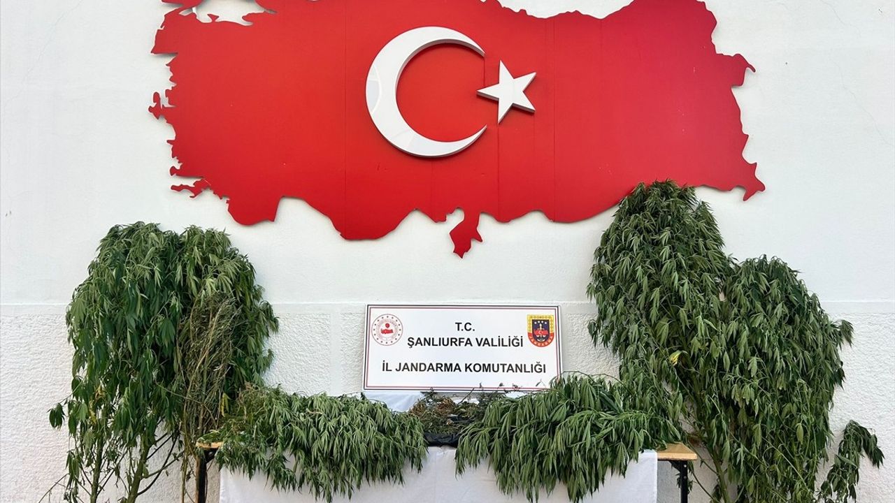 Şanlıurfa Uyuşturucu Operasyonu: 6 Gözaltı