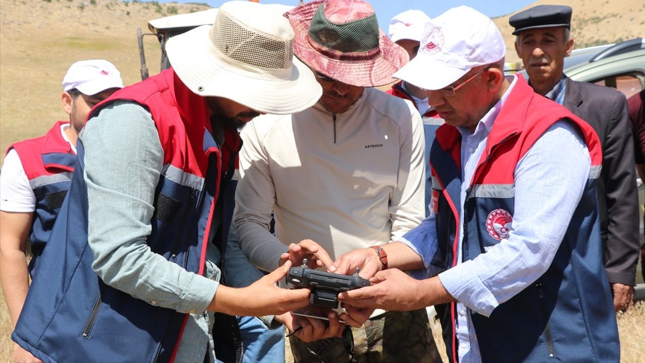 Siirt'te Çekirgelere Karşı Dronla İlaçlama Faaliyeti