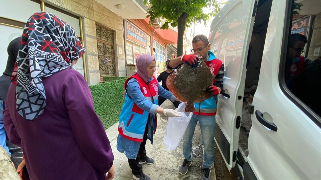 Sinop'ta Kaçak Avlanan Kalkan Balıkları Vatandaşlara Dağıtıldı