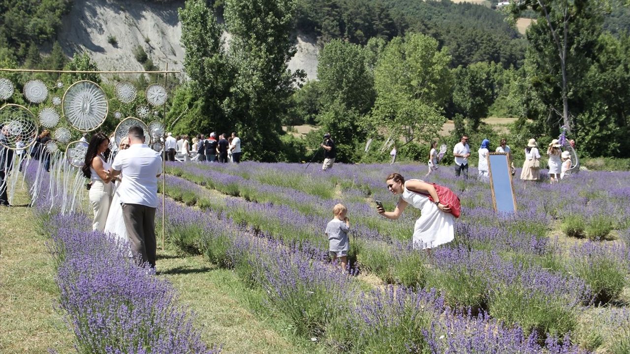 Sinop'ta Kadın Girişimci ile Lavanta Tarlası Dönemi