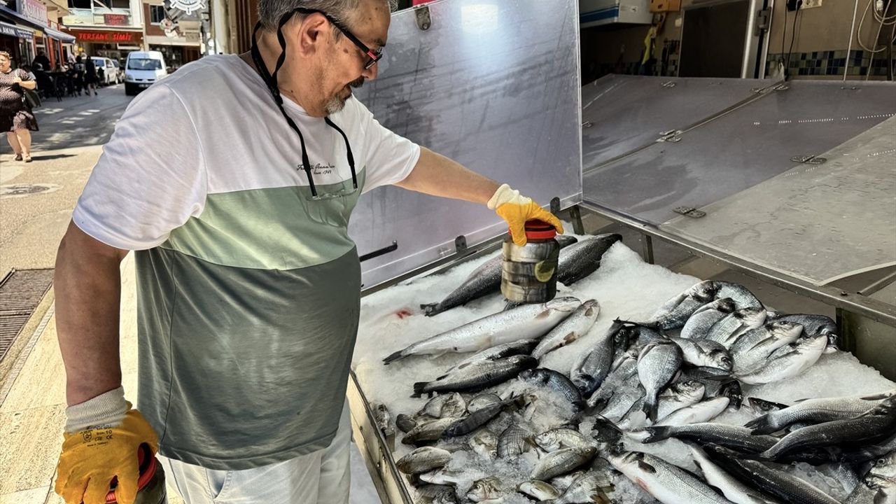 Sinop'un Tuzlu Palamutları Yaz Aylarında Tezgahlarda