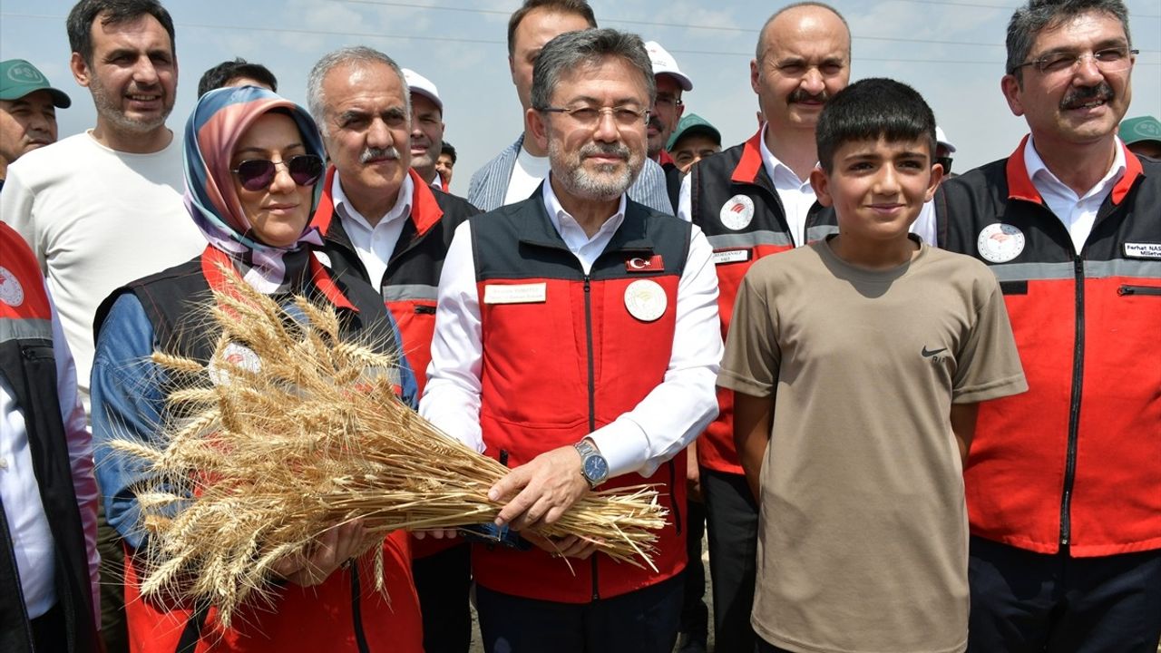 Tarım ve Orman Bakanı'nın Batman'daki Buğday Hasadı Ziyareti