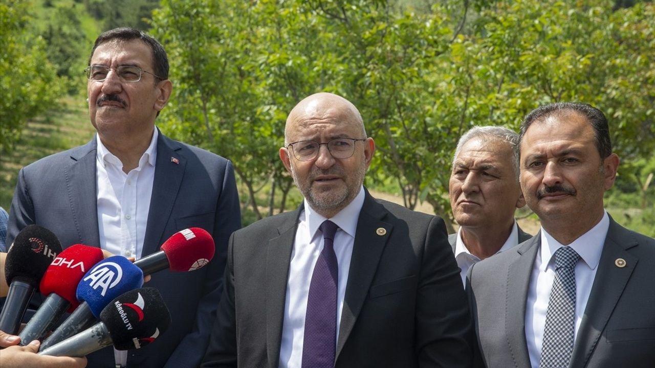 TBMM Komisyonu Bolu'da Ceviz Bahçesini İnceledi
