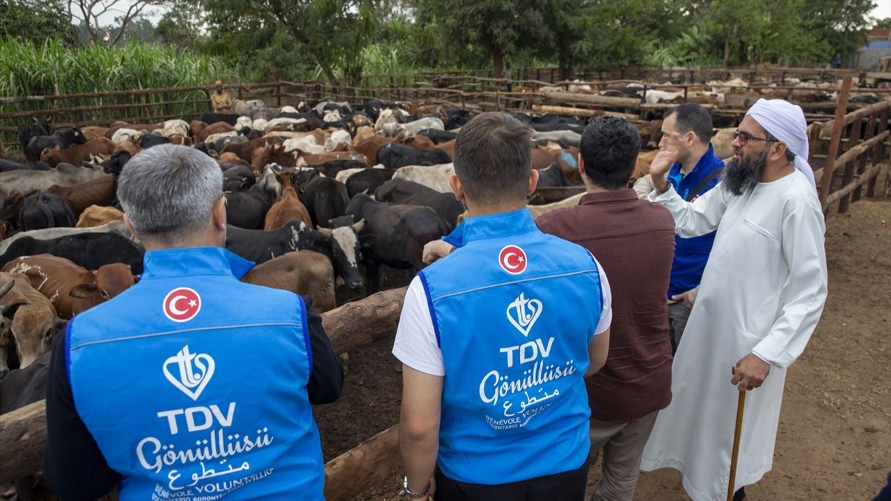 TDV Ekipleri Malavi'de Kurban Kontrolü Gerçekleştirdi