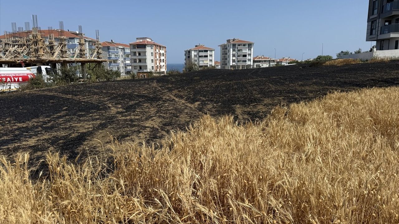 Tekirdağ'da Buğday Tarlasında Yangın