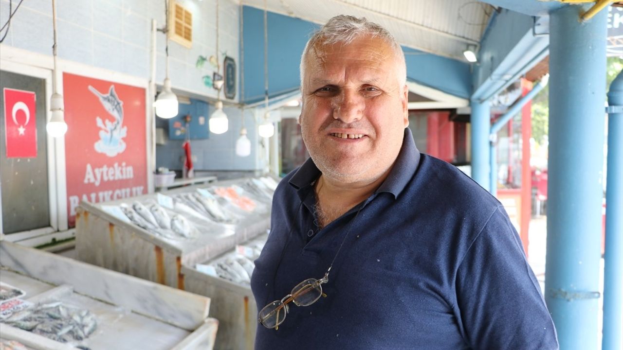 Tekirdağ'da Sardalya Tezgahları
