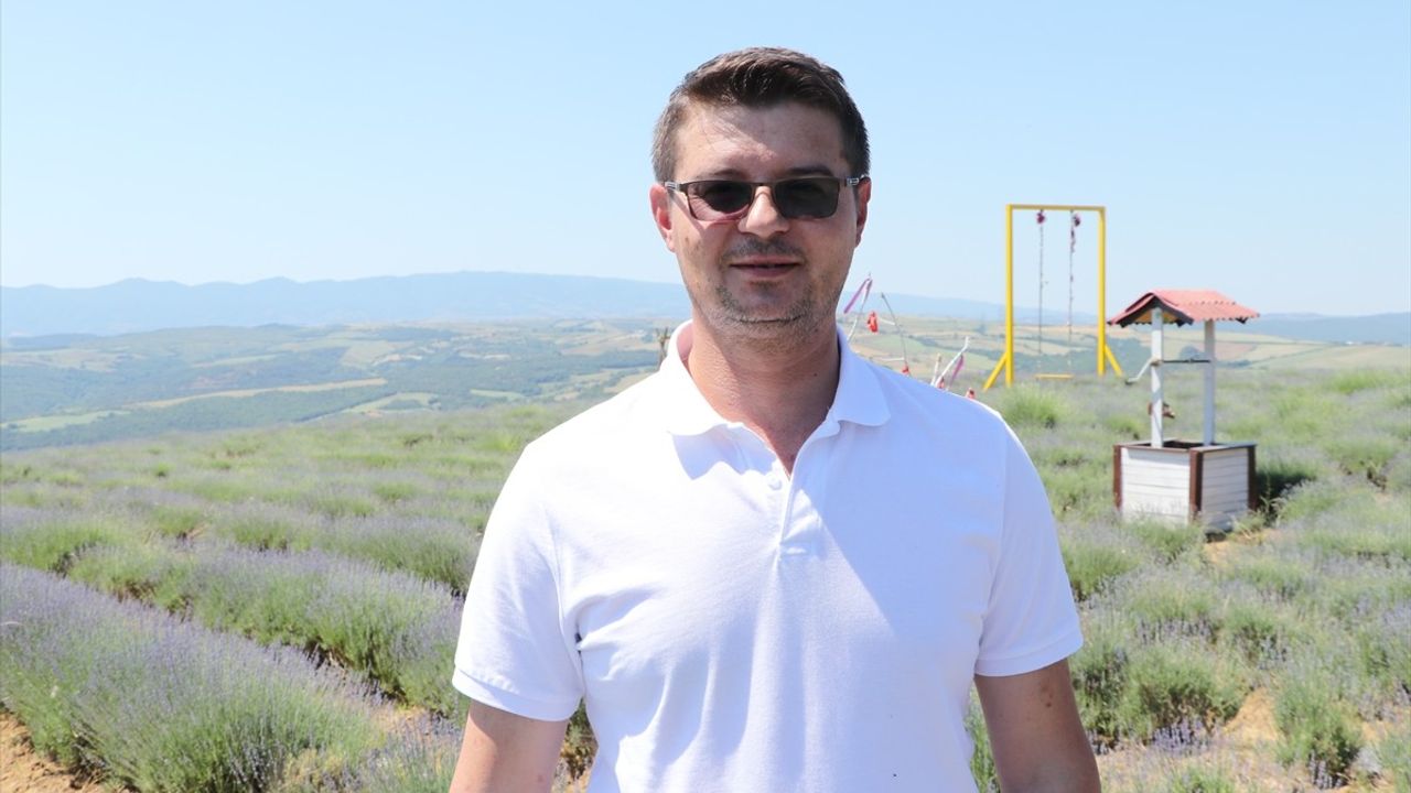 Tekirdağ'daki Lavanta Tarlaları Turizm Sezonuna Hazır
